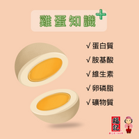 《福記》香鐵蛋(原味鶏蛋)（シャンティエダン・煮込玉子／6粒入）  《台湾 お土産》