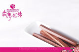 《Nagamatsu》 Kaka stick (230g) (Milk biscuit - cocoa flavor) 《Taiwan★Order★Souvenir》